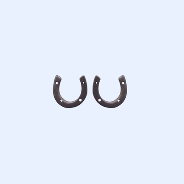 Horse Shoe Earrings