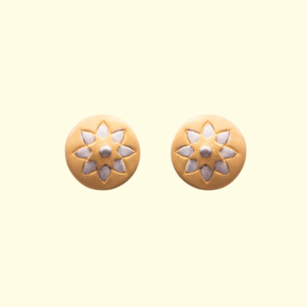 Plated Star Earrings